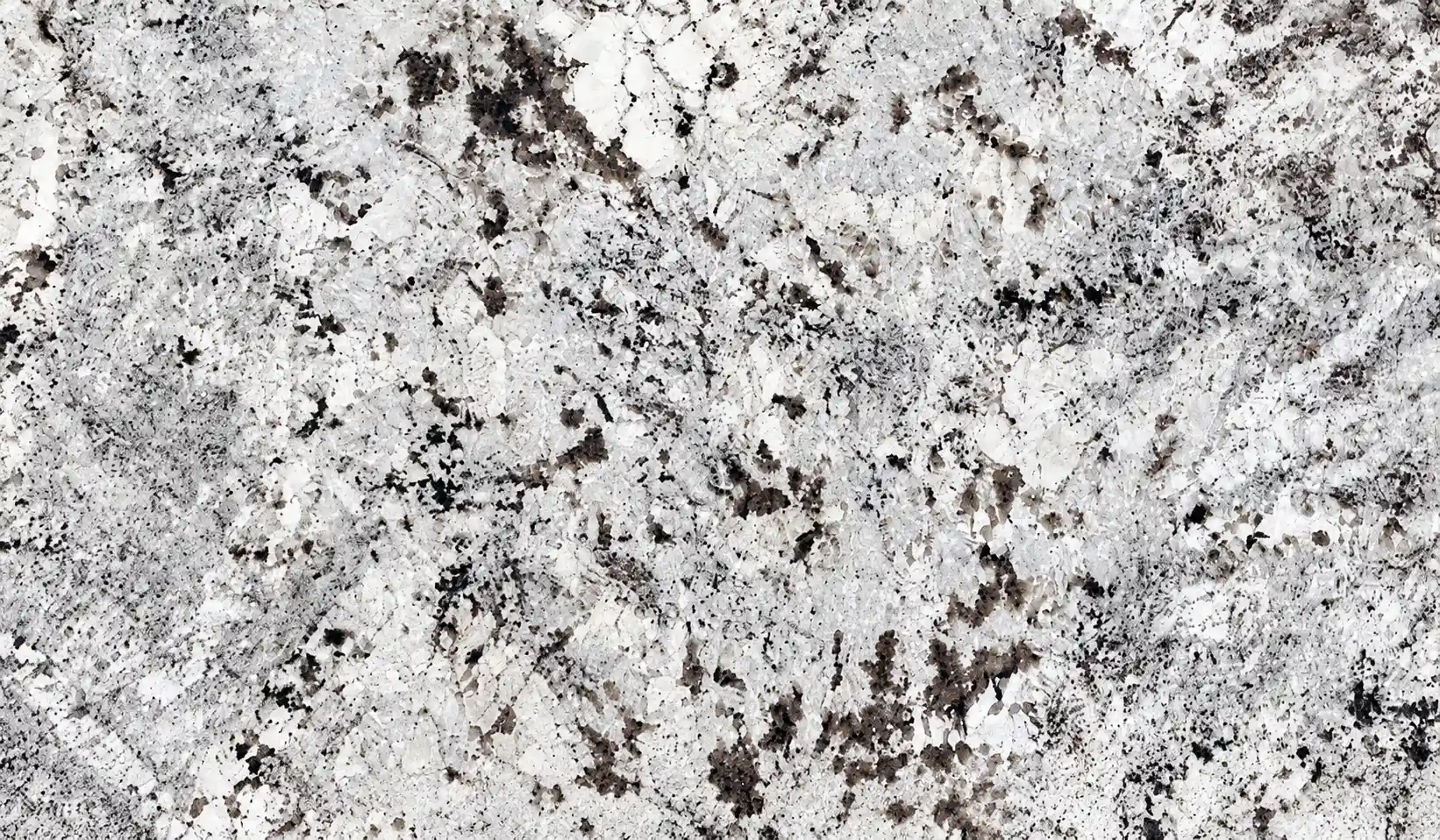 Alaska White — representative image